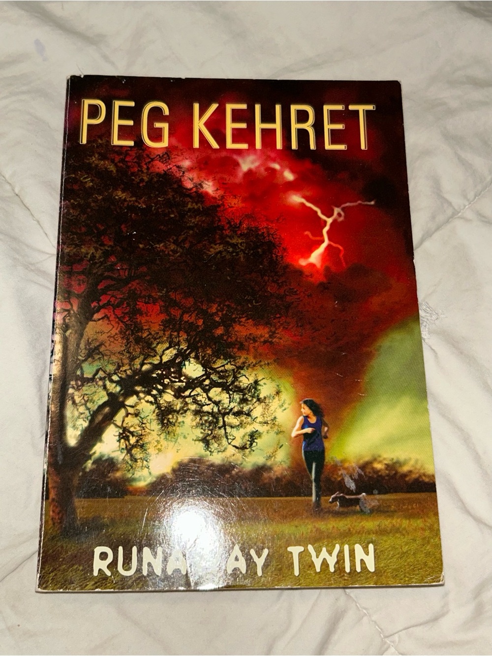 Runaway Twin by Peg Kehret, Paperback, 2010